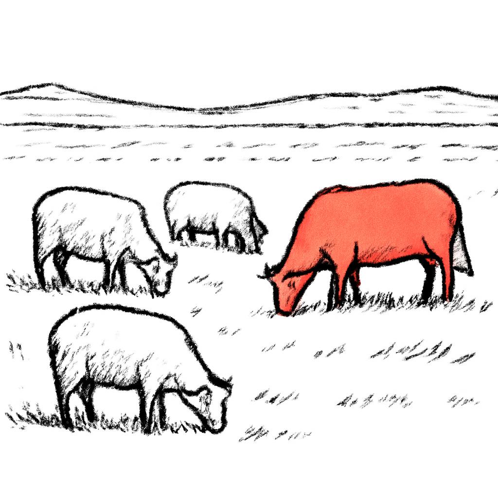The tragedy of the commons